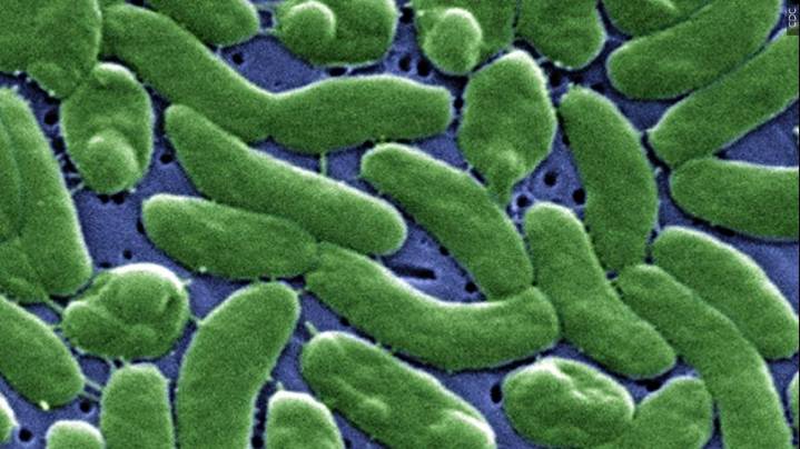 Two more people dead after eating Louisiana oysters infected with flesh