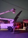 Árbol cae por fuertes vientos en zona centro del municipio