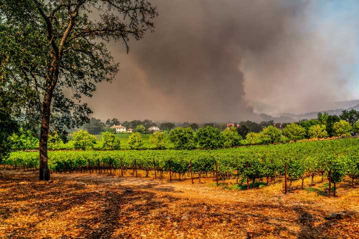 Travelers And Locals Evacuate California's Most Scenic Tourist Region Due To Continued Blazes