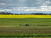 Varcoe: Alberta premier says Canada's EV tariff should be 'reconsidered' amid canola trade dispute with China