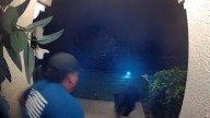 Black bear attacks Florida man on his front step, here's the video