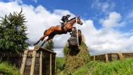 Horse rider dies after falling at fence during major eventing competition