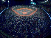 Junto a Panamá, Venezuela albergará en los Estadios Simón Bolívar y Fórum de La Guaira la Copa América de Béisbol
