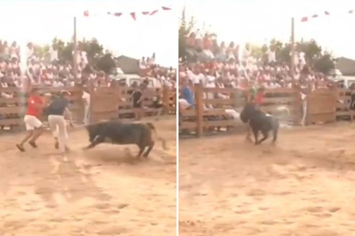 Tensión en vivo. Metieron a un periodista en una corrida para hacerle una broma y terminó embestido