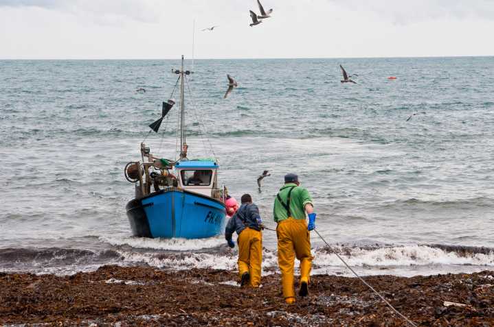 The winners and losers of summer 2025, from foragers to fishermen, and turtles to trout