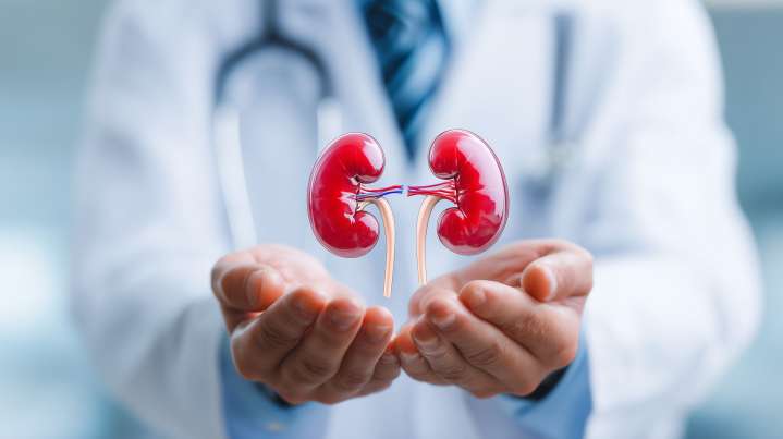 New Biomarker Models Offer Mechanistic Insights in Chronic Kidney Disease Management