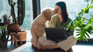 Even ahead of NBN Co's upcoming speed upgrades, Aussies are already moving to faster internet plans