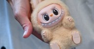 Labubu Thieves Make Off With $30K Worth of Wildly Popular Dolls