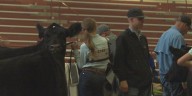Nebraska State Fair celebrates ‘FFA Day’