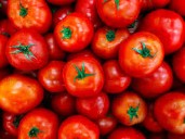 Exportaciones de tomate registran su mayor caída desde 2012