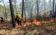 Consumen mil hectáreas los incendios forestales
