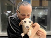 A blind man’s support dog went missing