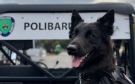 PoliBaruta creó Brigada Canina y refuerza seguridad vial en su 32 aniversario