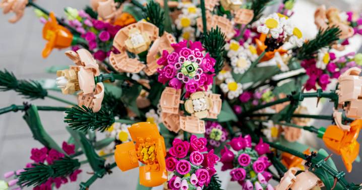 Lego hits record revenue in first half of 2025, boosted by brick flowers and cars
