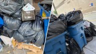 Chinatown businesses fight to end contract amid trash strike
