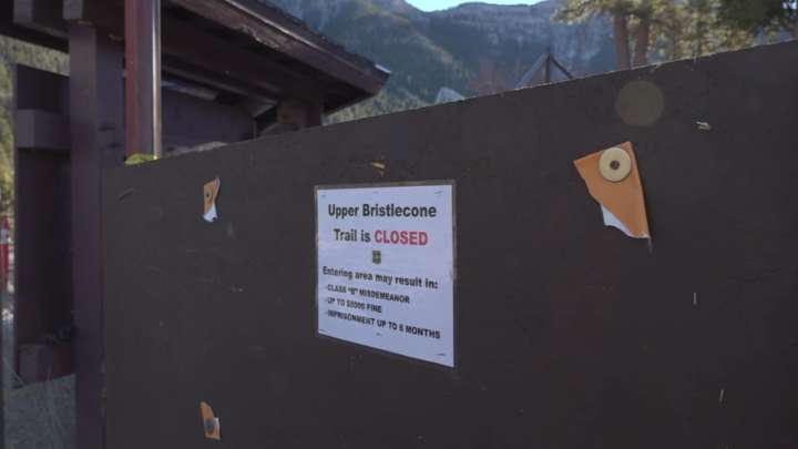 Inaction on Mt. Charleston trails fuels frustration among hikers