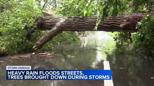 Flash flood Chicago: Strong storms bring heavy rain, bringing flash flooding to Rogers Park, Homewood, Illinois and more
