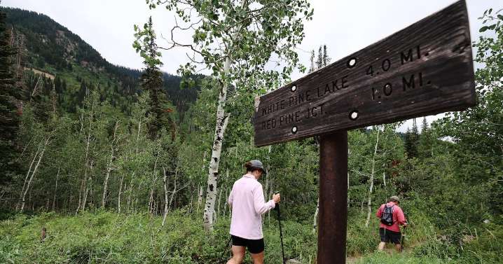 Opinion: The predicament of the Cottonwood Canyons, and why they deserve ‘Central Park’
