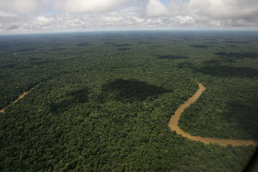 Ambientalistas temen que Noboa esté debilitando la reputación ecológica de Ecuador