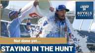 Royals are staying in the hunt | Kansas City Royals Podcast