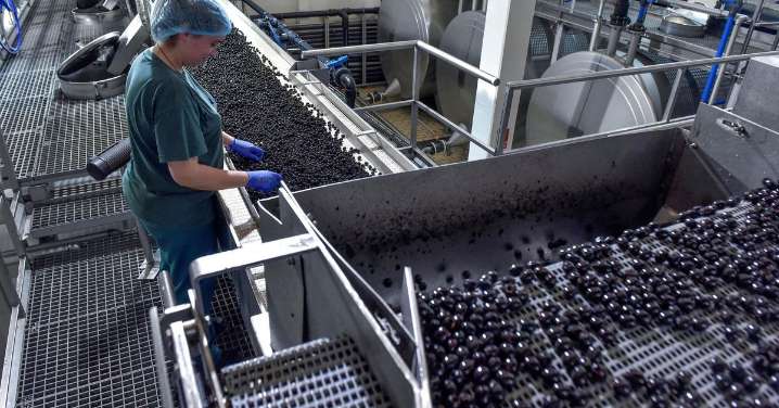 Córdoba es la provincia de Andalucía donde más cae el desempleo en la industria en el primer semestre del 2025