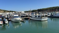 El alga asiática asfixia a la flota pesquera de Cádiz