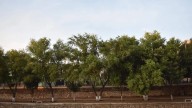 ¡A preparar el paraguas! Se esperan hasta 5 mm de lluvias para Parral y la región sur