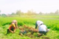 NFU opposes immigration legislation