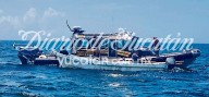 Persecución marítima en San Felipe: pescadores furtivos logran huir al arrojarse al mar