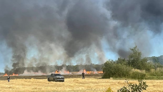 Wave of fires has P.E.I. firefighters warning that conditions remain very dry