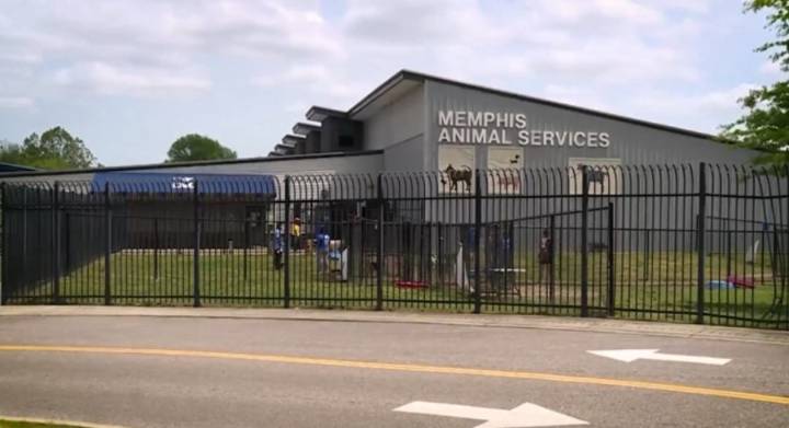MAS launches "Project Pawtect" to bring pet care directly into neighborhoods