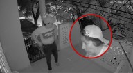 Perro frustró intento de robo en urbanización Filadelfia y vecinos denuncian ola de delincuencia