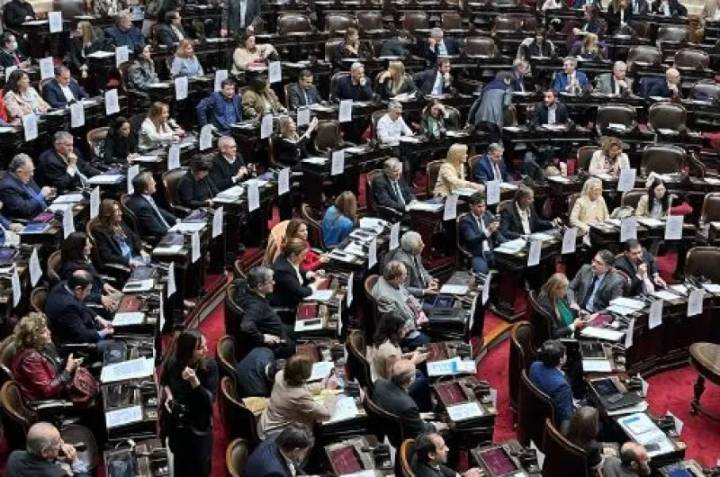 Zago rechazará los vetos a la suba de jubilaciones y emergencia en discapacidad