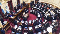 Senado debate Garrahan, universidades y decretos: puede ser un nueva derrota para el Gobierno