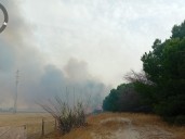 Un nuevo incendio forestal afecta al paraje Matalagrana de Almonte cerca de Doñana