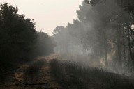 El fuego asola España: dos fallecidos, una veintena de heridos, miles de evacuados y hectáreas quemadas