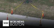 Dozens of Massachusetts students stung by bees on first day of school