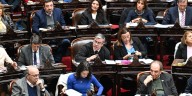 La oposición logró rechazar el veto de Milei a la ley de emergencia en discapacidad en Diputados