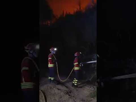 Portugal battles raging wildfires as heatwave intensifies #shorts