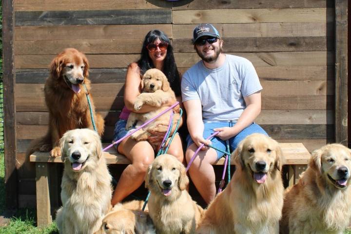 A day at Camp Goldie in Millstone is a slice of doggie heaven