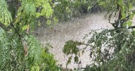 UPDATE: Man dies after falling into fast-moving, flooded creek near East Brainerd Rd.