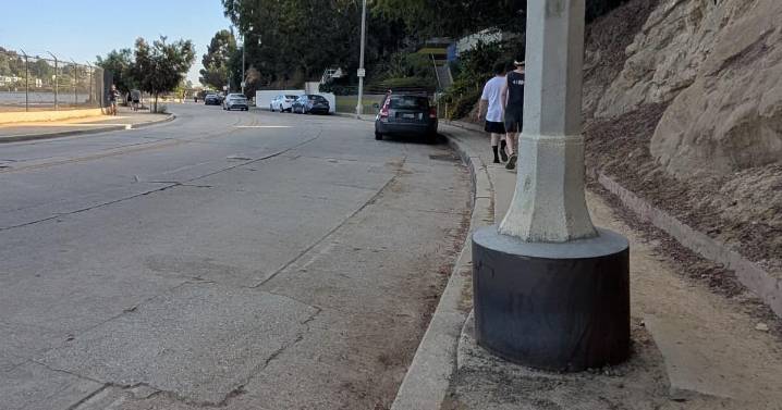 A concrete solution to protect Silver Lake streetlights