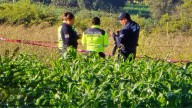 Alerta. Encuentran cinco cabezas desolladas en terrenos de Ixtacuixtla, Tlaxcala