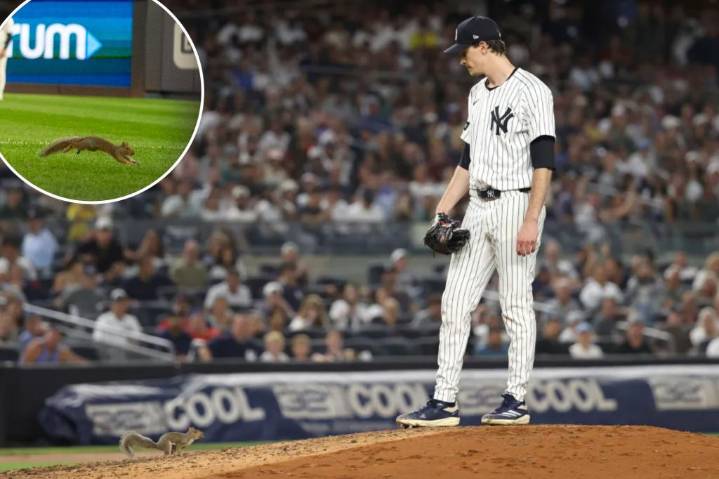 Squirrel interrupts Yankees-Red Sox game in bizarre moment