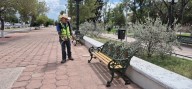 Fumiga Municipio espacios públicos para prevenir plagas