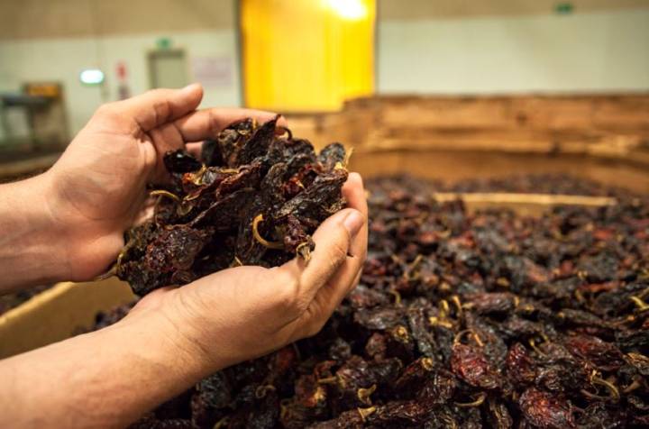 Avanzan labores para posicionar al chile chipotle chihuahuense como producto con indicación geográfica