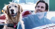 ‘Breathtaking’ film with Gilmore Girls legend is added to Netflix 