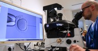 Silicon Valley Parents Are Spending $50,000 to Screen Embryos for IQ