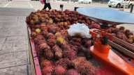 ¿Conocías estas frutas? Martín Morales las trae desde Oaxaca a Culiacán
