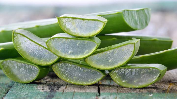 Por qué deberías hervir hojas de aloe vera y cuáles son sus beneficios